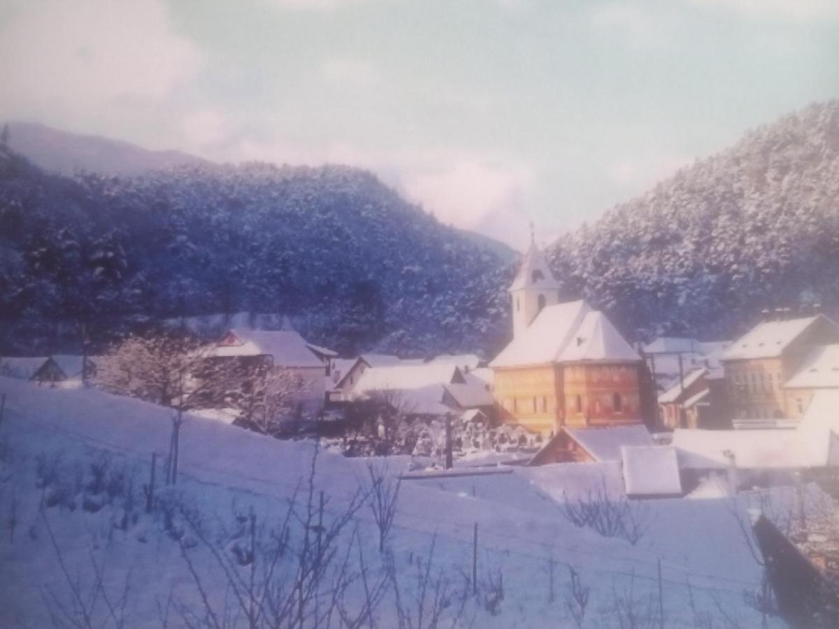 Pensiunea Casa Roman Tălmaciu Exterior foto